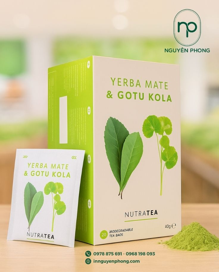 Mẫu hộp đựng bột rau má thiết kế trang nhã
